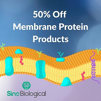 50% Off Sino Membrane Products