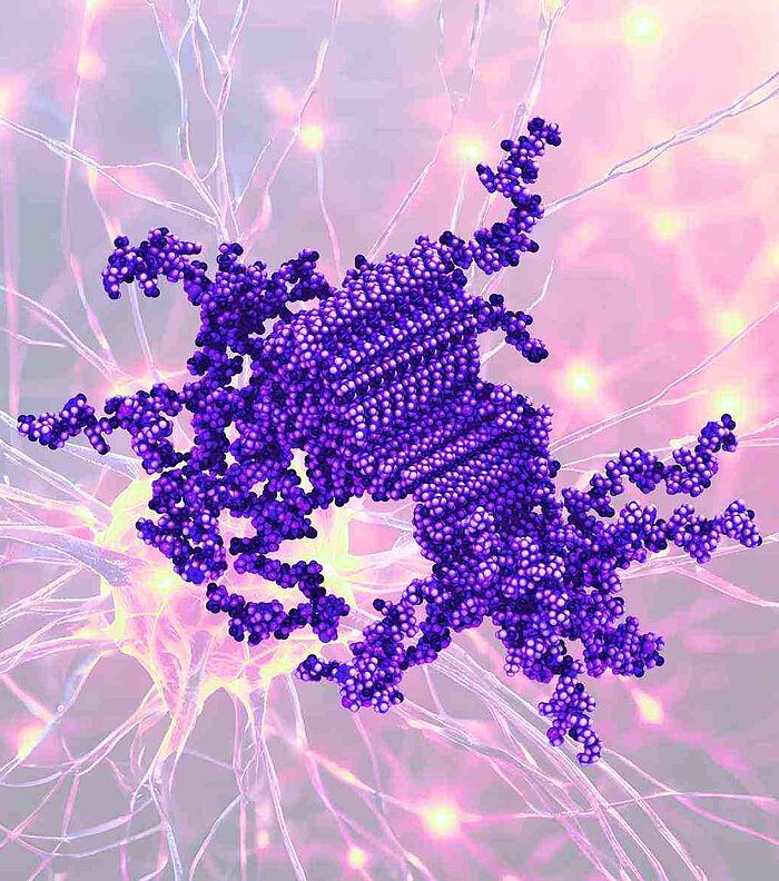 Optimized Alpha Synuclein Monomers for Seed Amplification
