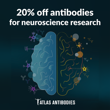 atlas antibodies neuroscience promo