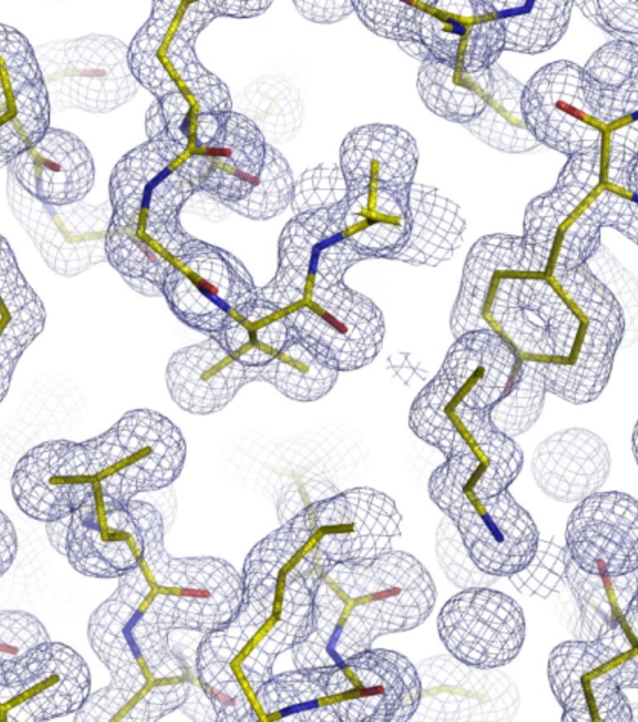 Why X-Ray Protein Crystallography is Hot