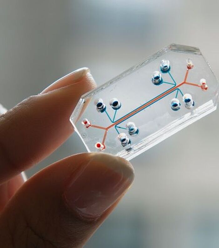 Lab-on-a-chip: laboratory systems at the microscale