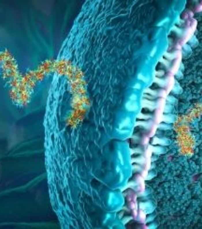 RNA-Seq Revolution Thanks to rRNA Depletion