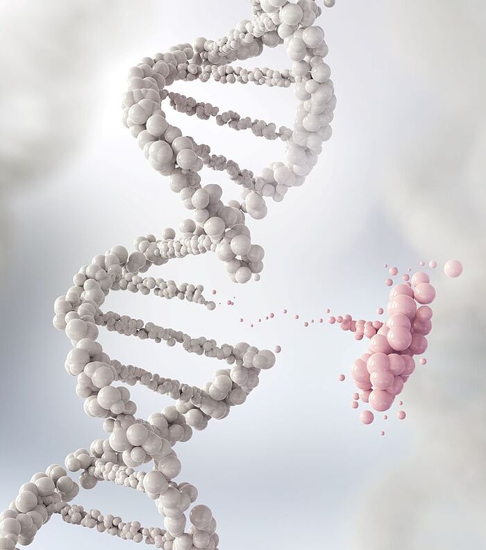 Gene Silencing – RNAi or CRISPR?