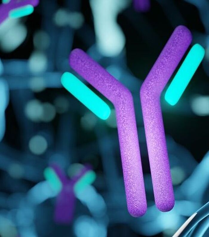 Bispecific Antibody 101: Essential Tools for Research