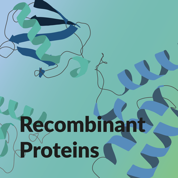 recombinant-proteins