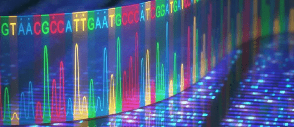 Illustration of sequencing data.