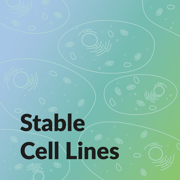 stable-cell-lines