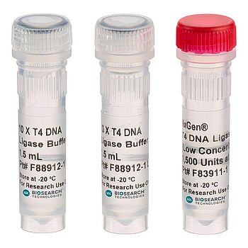 Ligases - Enzymes for molecular biology