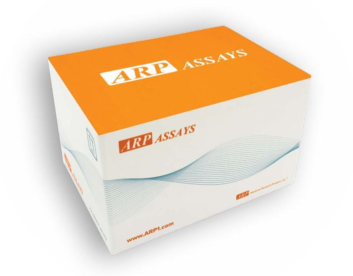 Wide range of enzymatic assay kits