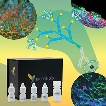 arcoris bio new supplier immunomuse