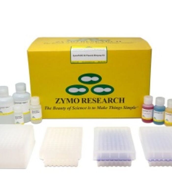 Creating a Confident Foundation with Clean Plasmid DNA