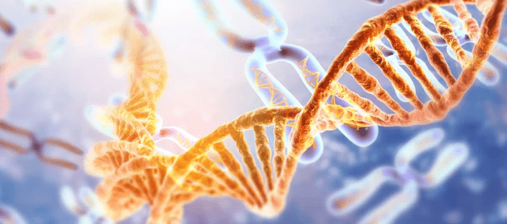 Illustration of DNA and chromosomes.